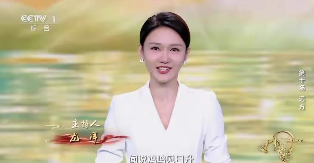 中国诗词大会收官，主持人龙洋表现可圈可点，和董卿相比不分仲伯《中国诗词大会》刚