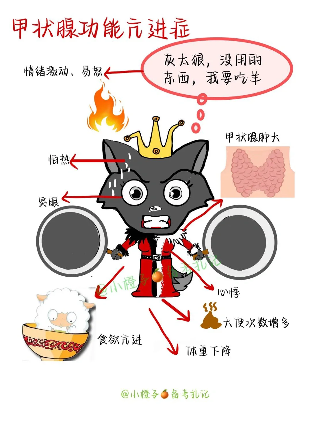 📖护师笔记｜内科护理学｜甲状腺功能亢进症😫