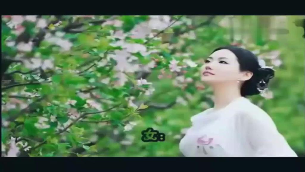 一生痴恋简谱_儿歌简谱