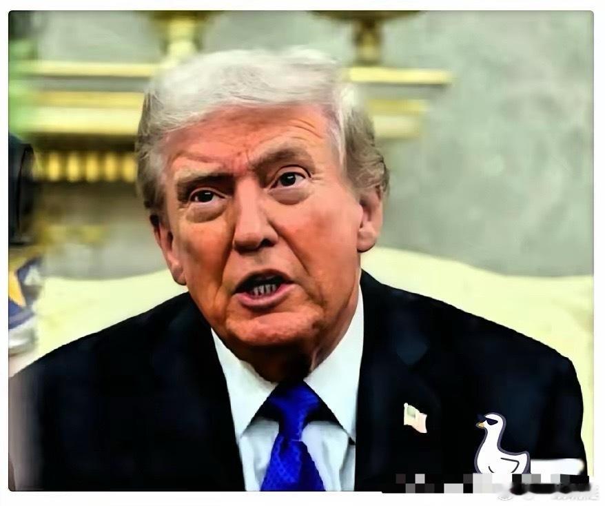 刚刚刷到特朗普的新闻，差点把刚喝进去的茶喷出来。2月11日，特朗普突然宣布，把对