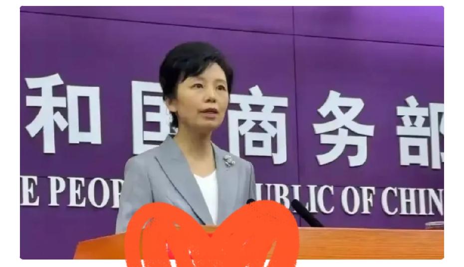 就在刚刚，中国商务部发表严正声明！6月13日，东方大国商务部发表声明，强