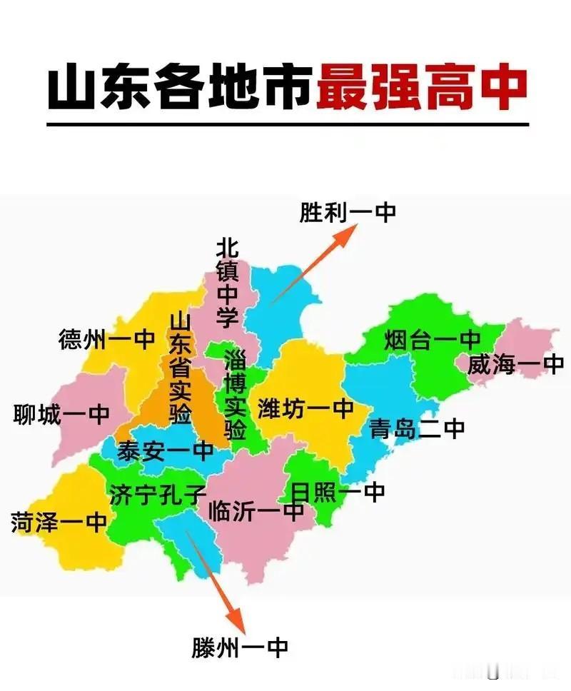 2026年山东高考全省前100名（697分屏蔽段及头部高分）各校分布纪实2