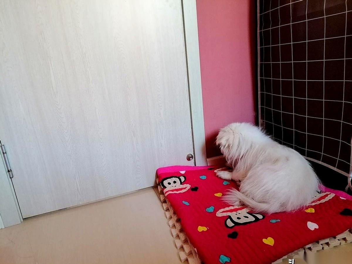 凌晨五点，我在安静得发毛的公寓里准时睁眼。第一件事，就是伸手把电褥子的插头拔了。