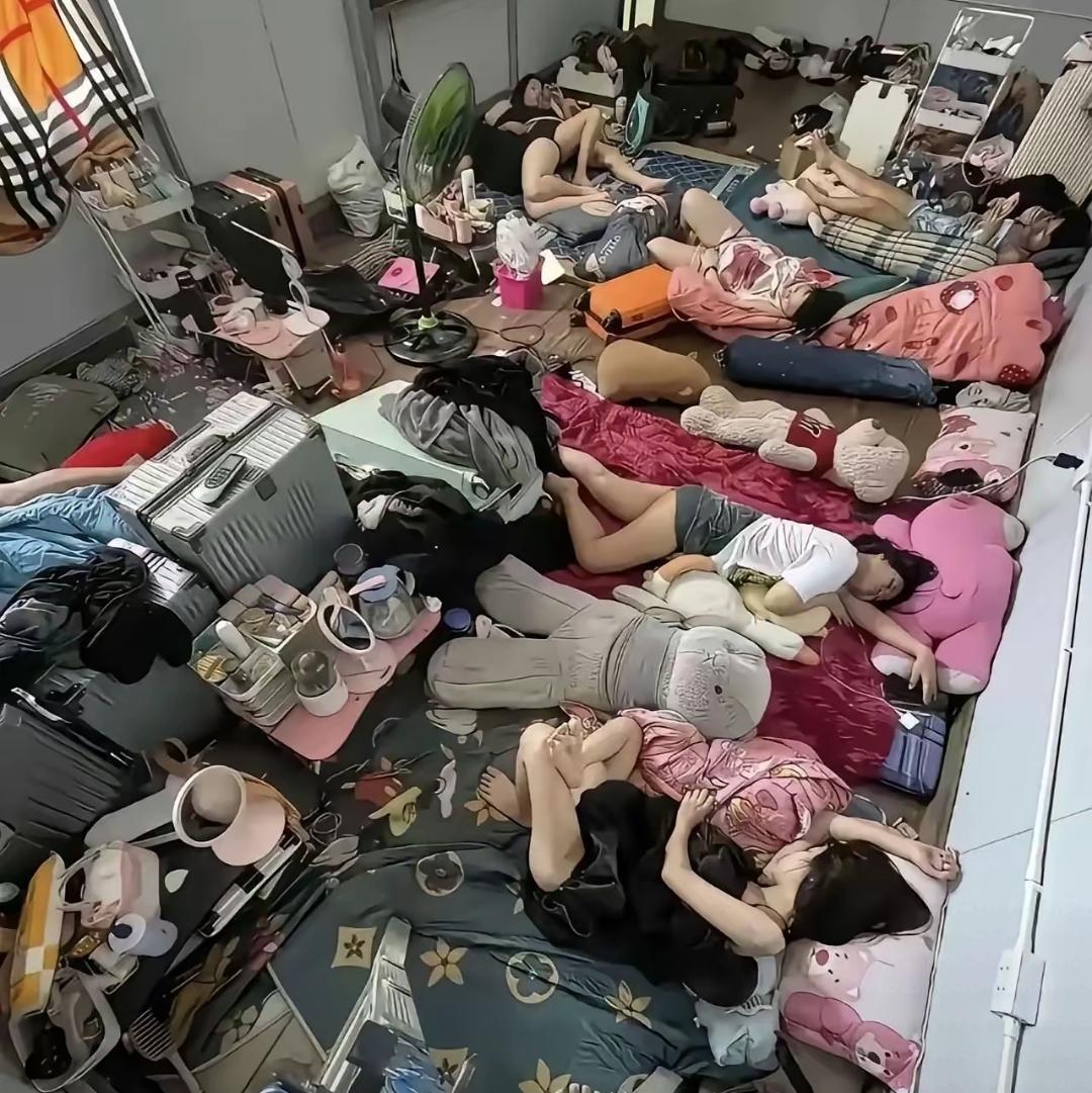 这好像传销窝点，但为什么只有女生没有男生呢？不知还招不招人？