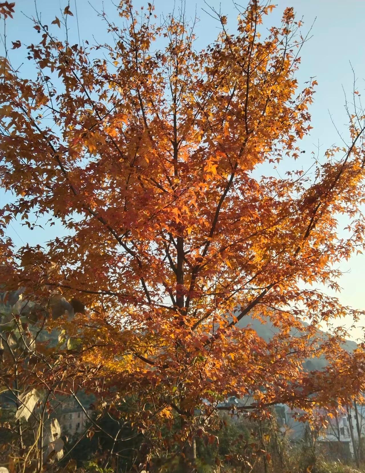 交易如同人生。交易的最高境界是内心平静，得失不惊，心态平稳。人生的快乐是精神上的