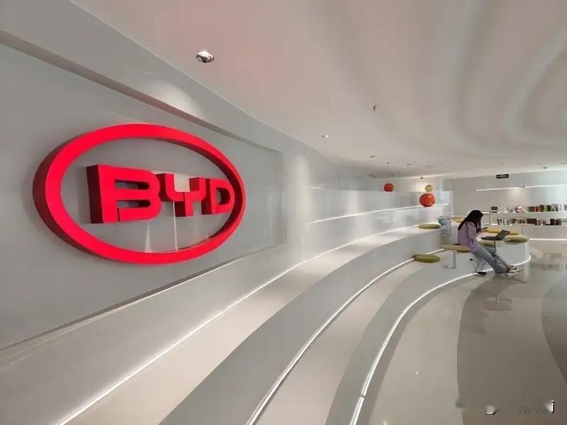 比亚迪刀片电池3.0版官方说充放电循环3000次，容量还能保持80%以上。按每次