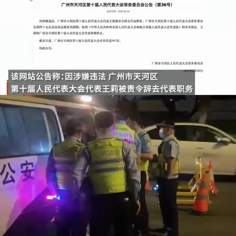 身份终于揭露了广州酒驾称自己是人大代表的女子​她万万没想到的是，她的“保护伞