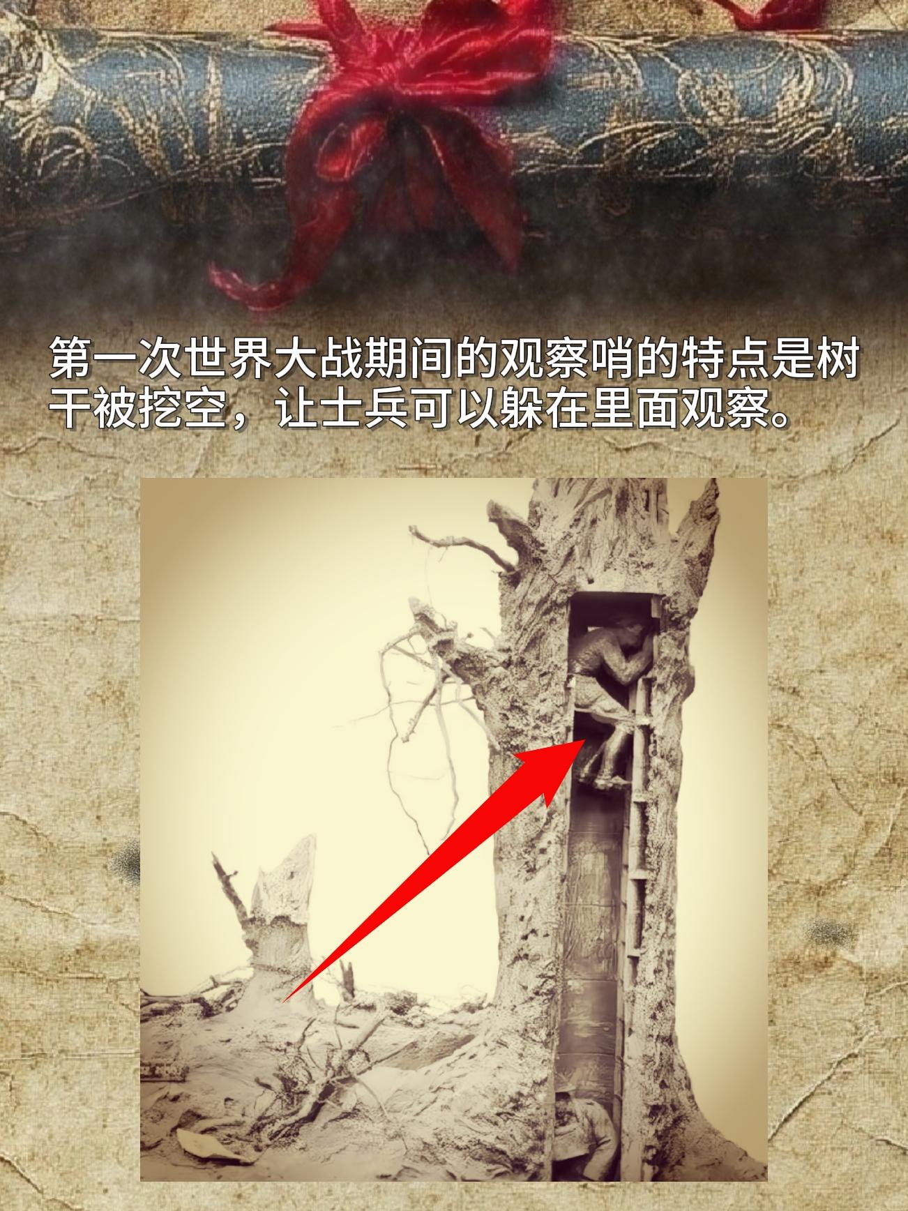 第一次世界大战期间的观察哨的特点是树干被挖空，让士兵可以躲在里面观察。