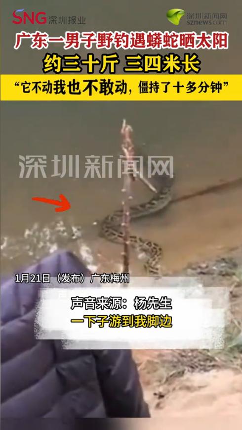 “太可怕了！”近日，广东梅州，一男子到野外钓鱼放松，刚架好鱼竿就发现水里有条“大