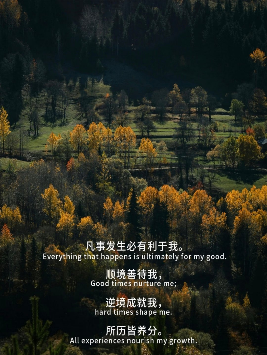 凡事发生必有利于我。​​​