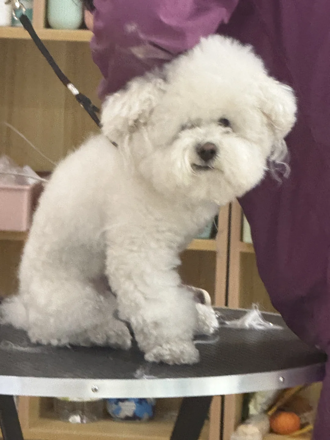 像冷宫里疯了的妃子