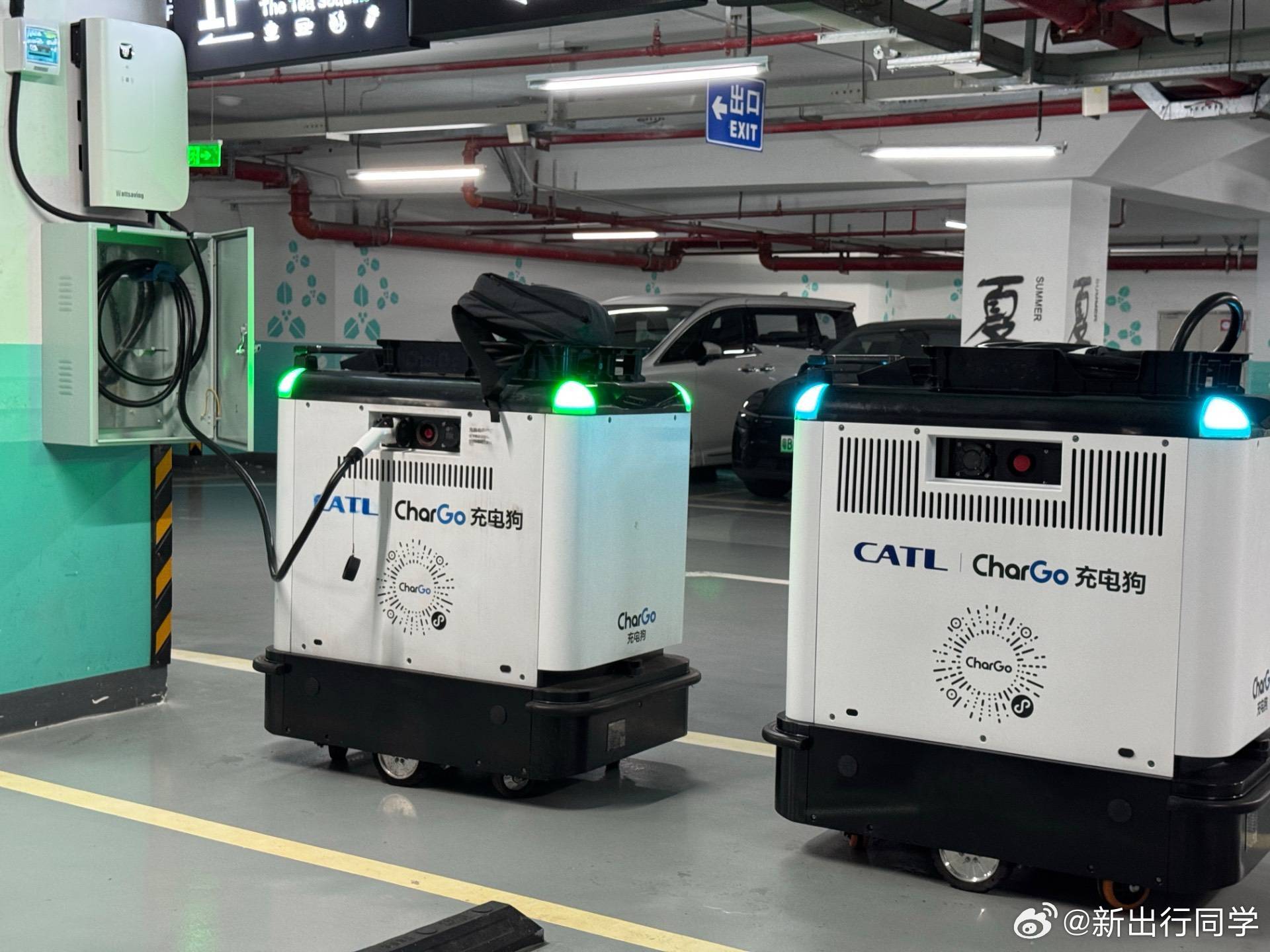 好奇问问各位，你们见过「充电狗」吗？新能源汽车