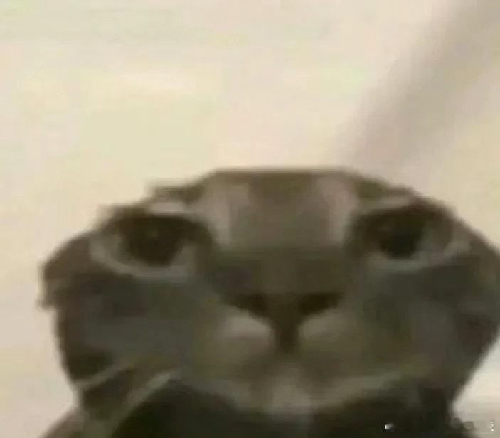 超实用21条生活小妙招早晚用上1、头发经常油：因为肝火太旺了，身体里内脏不能消