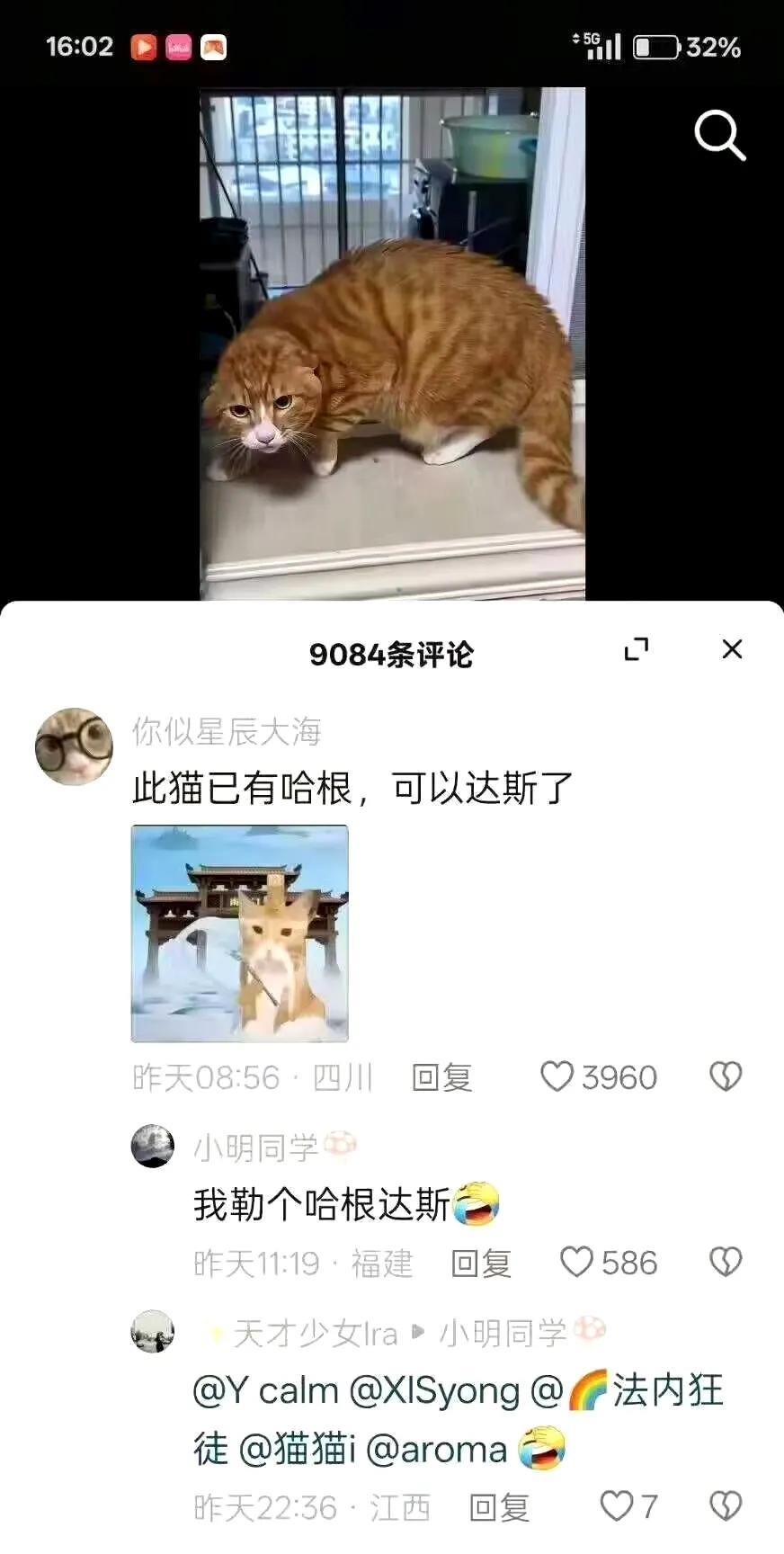 神tm哈根达斯，我真受不了互联网的抽象了，太搞笑了笑晕了[捂脸哭][捂脸哭][捂脸哭]