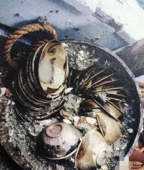 德国水泥厂老板沃特法破产后穷得身无分文，却从古籍中盯上了印尼苏门答腊附近海域，传