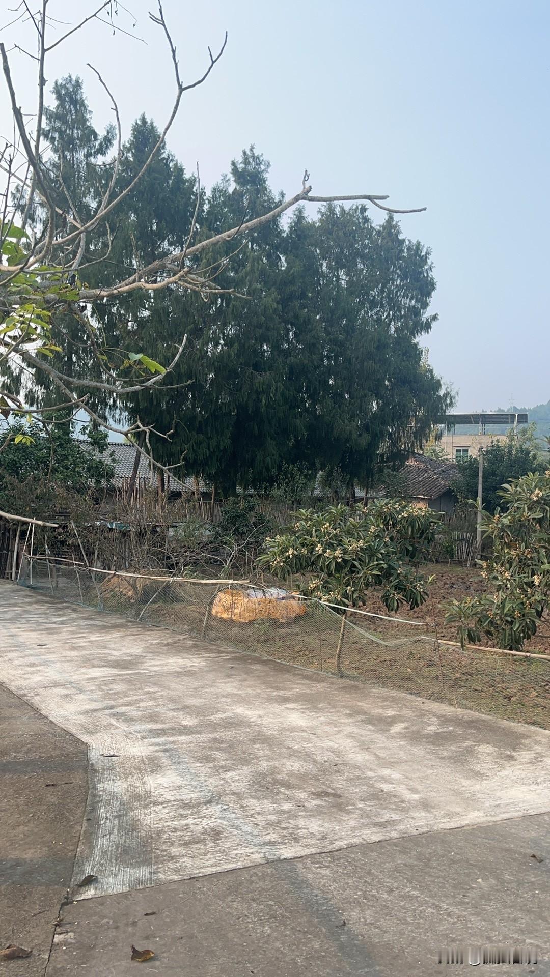 离婚的女人可以幸福！女人离婚不是罪，最多不过是男人出轨，或是想要独立的人生，又或