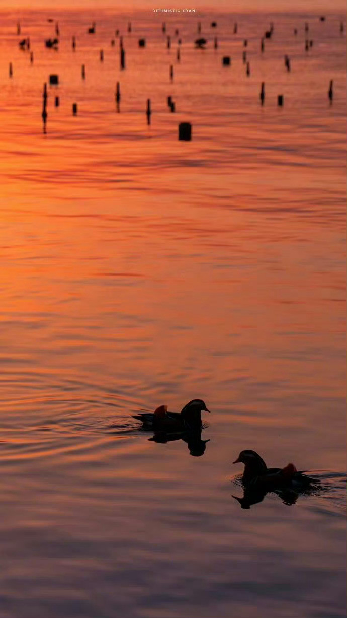 杭州·西湖日落，温柔缱绻。