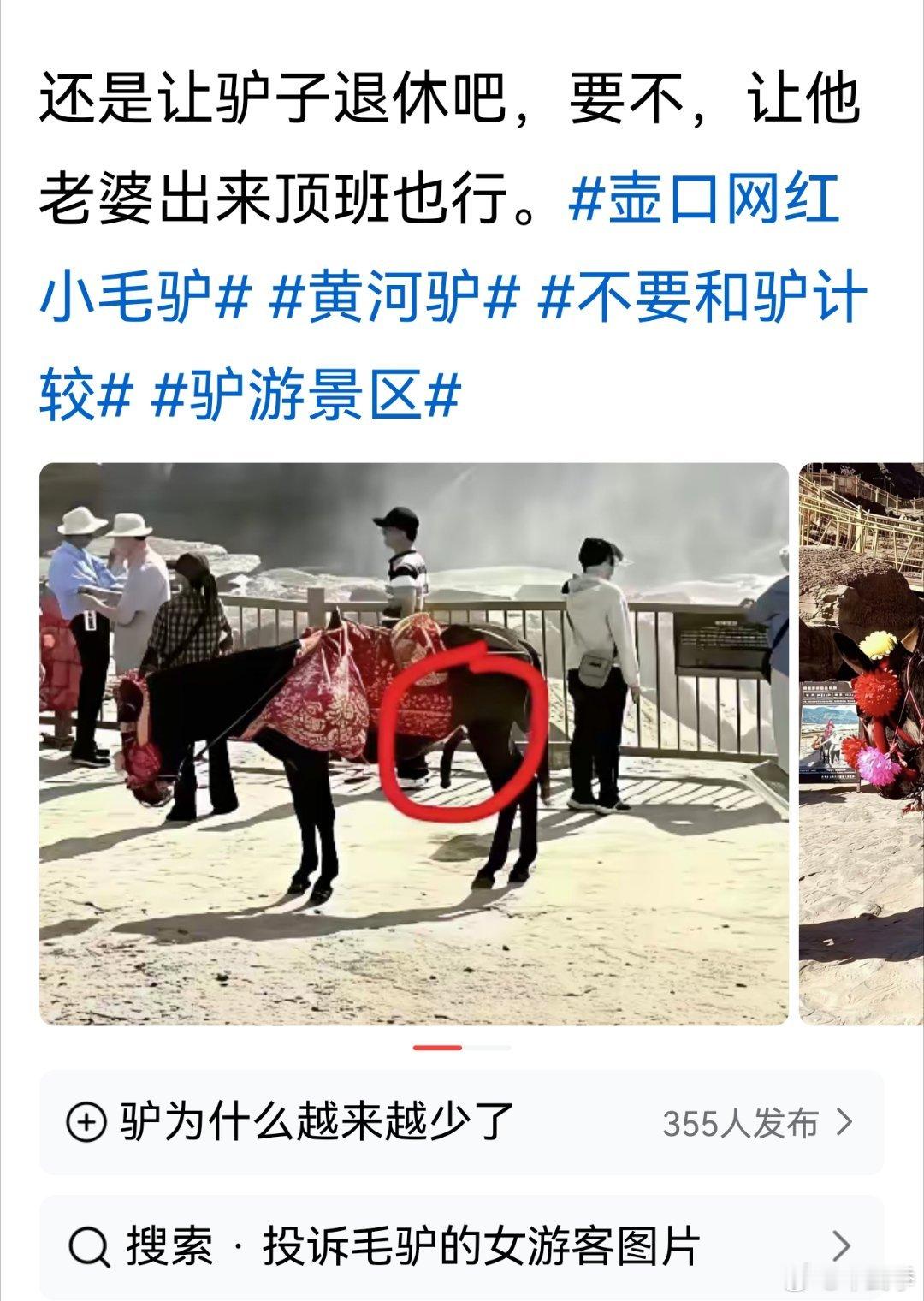 壶口瀑布景点的公驴被女游客投诉事件持续发酵，有人提出让公驴下岗，由母驴上岗劳动。
