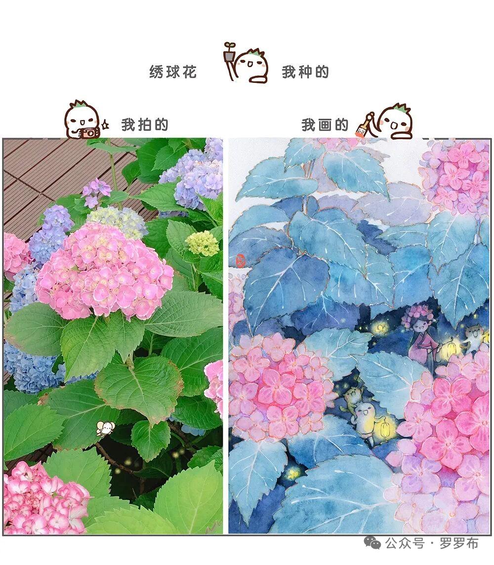 能分享一下你相册里的风景照片吗