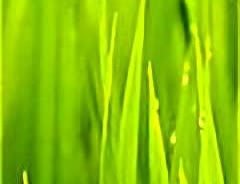 十公分，就是天堑。庄宇珊被点名“可以走了”，不是技术差，是身高卡死。现在