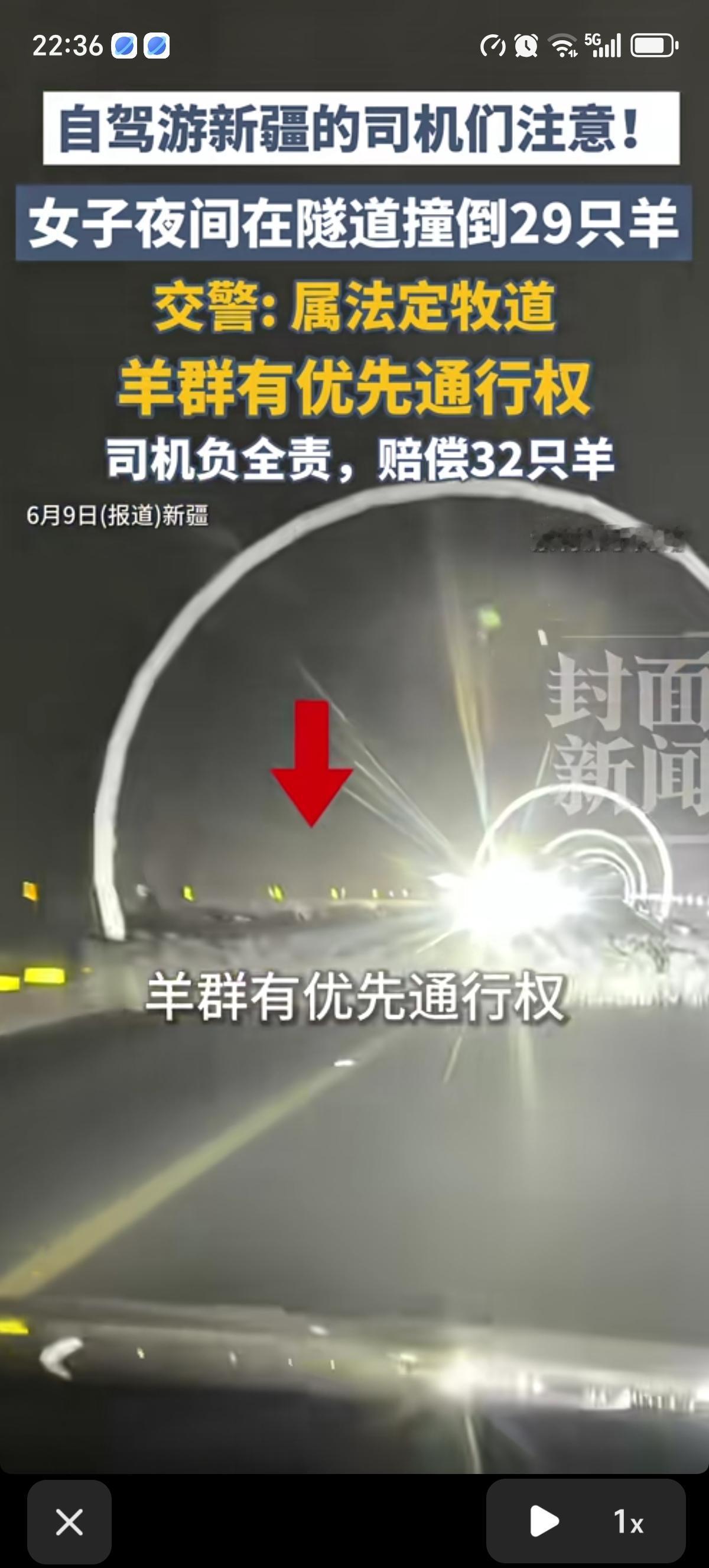女子自驾游路过新疆独库公路卡尔脑隧道，夜间撞上了29只羊，女司机被判定为全责，因