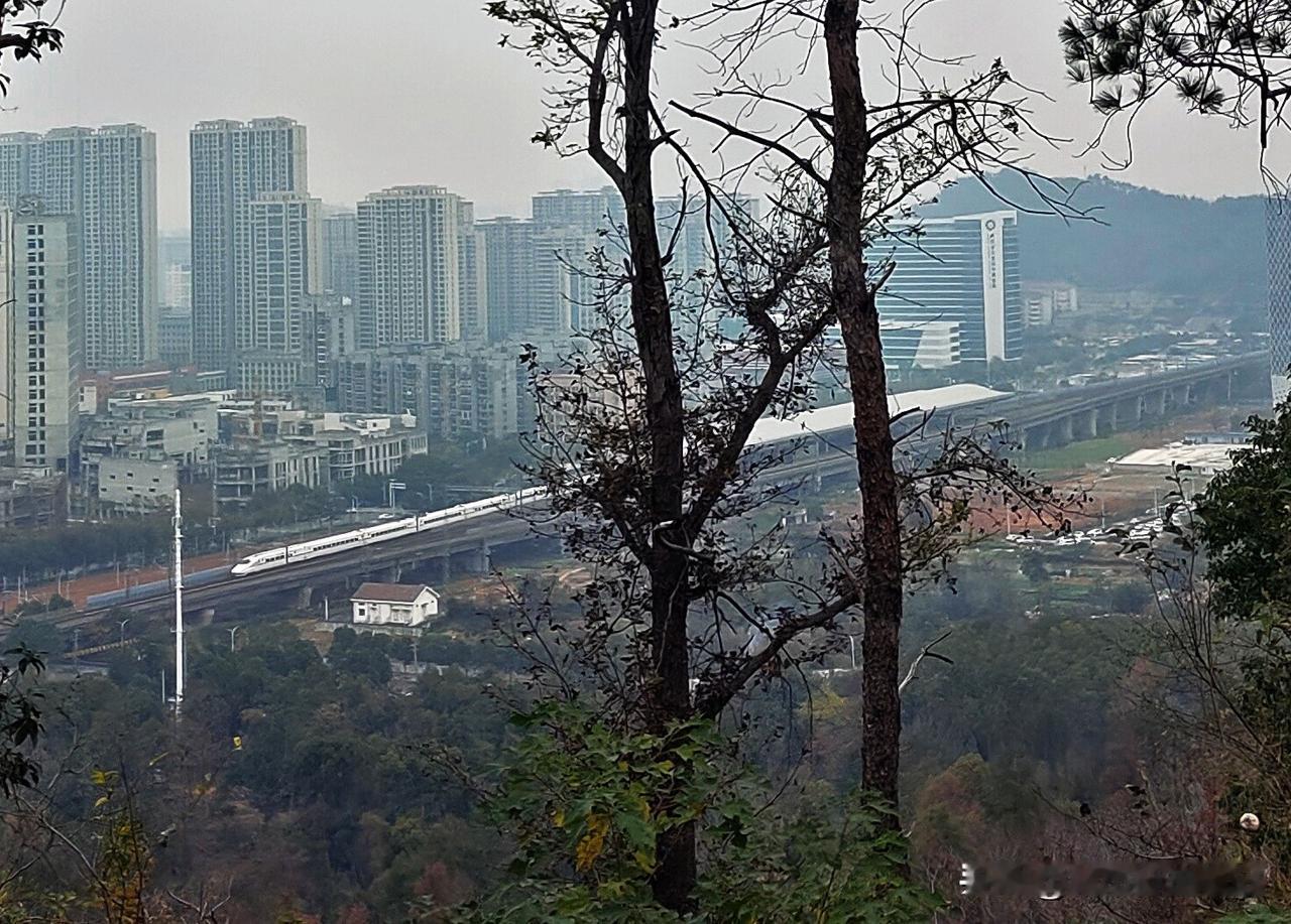 【武咸城际新城快线开通了，国铁还有3趟车停纸坊东】原以为新城快线武咸城际开通了，