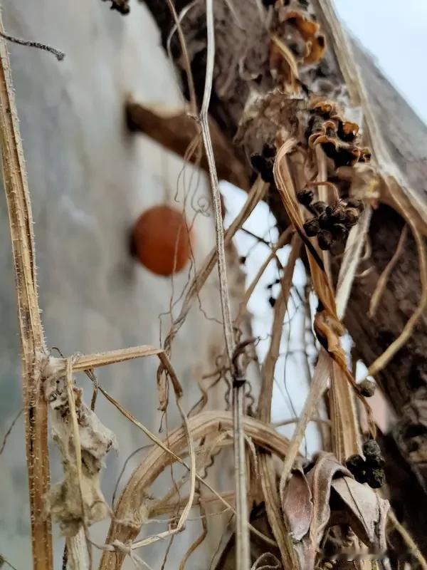 不要只盯着果子，盯着树叶，树枝，树干，树根，土壤，阳光，雨露，季节。​​