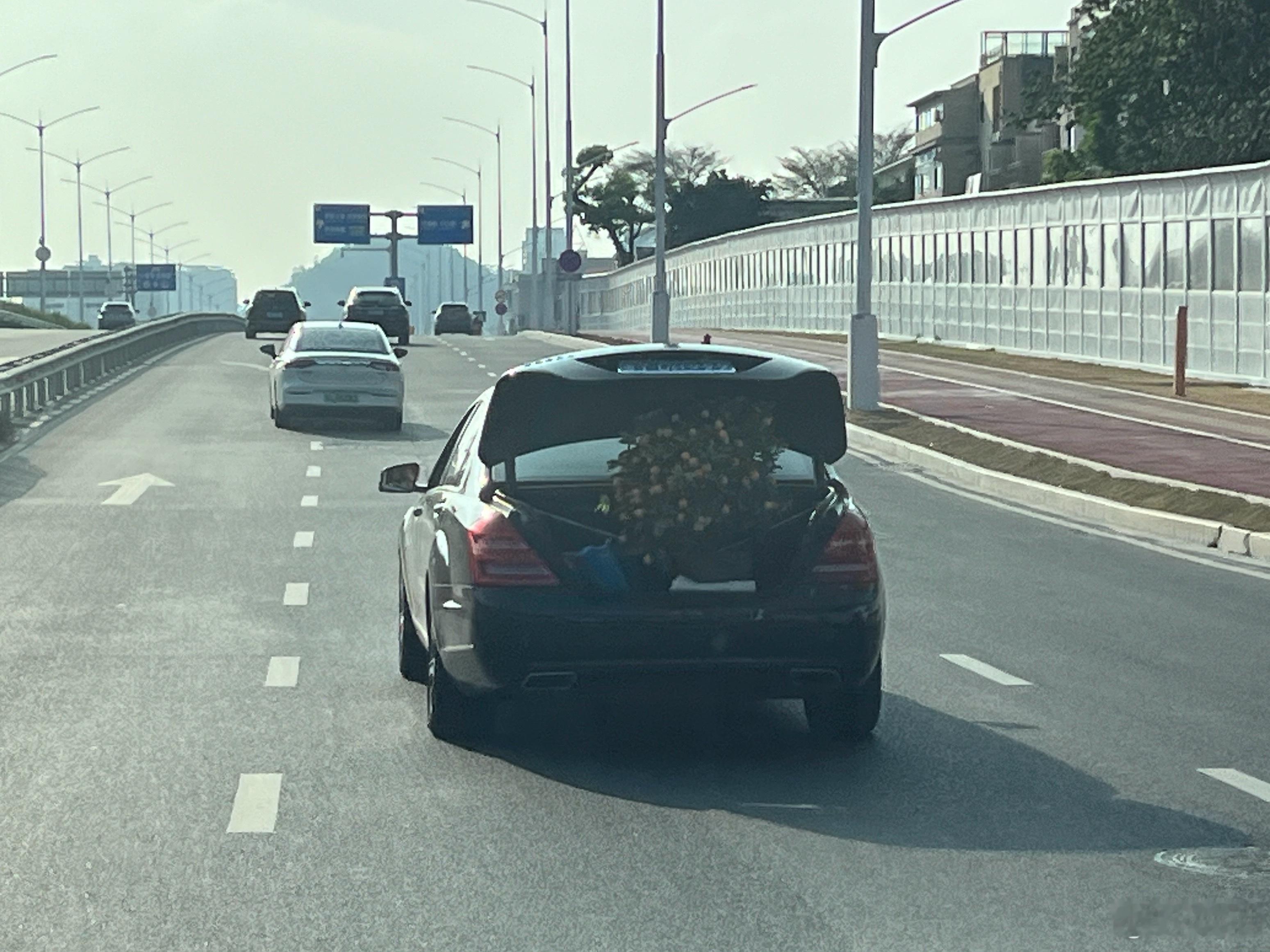 在广东过年，不管你是什么车，都得老老实实去运桔