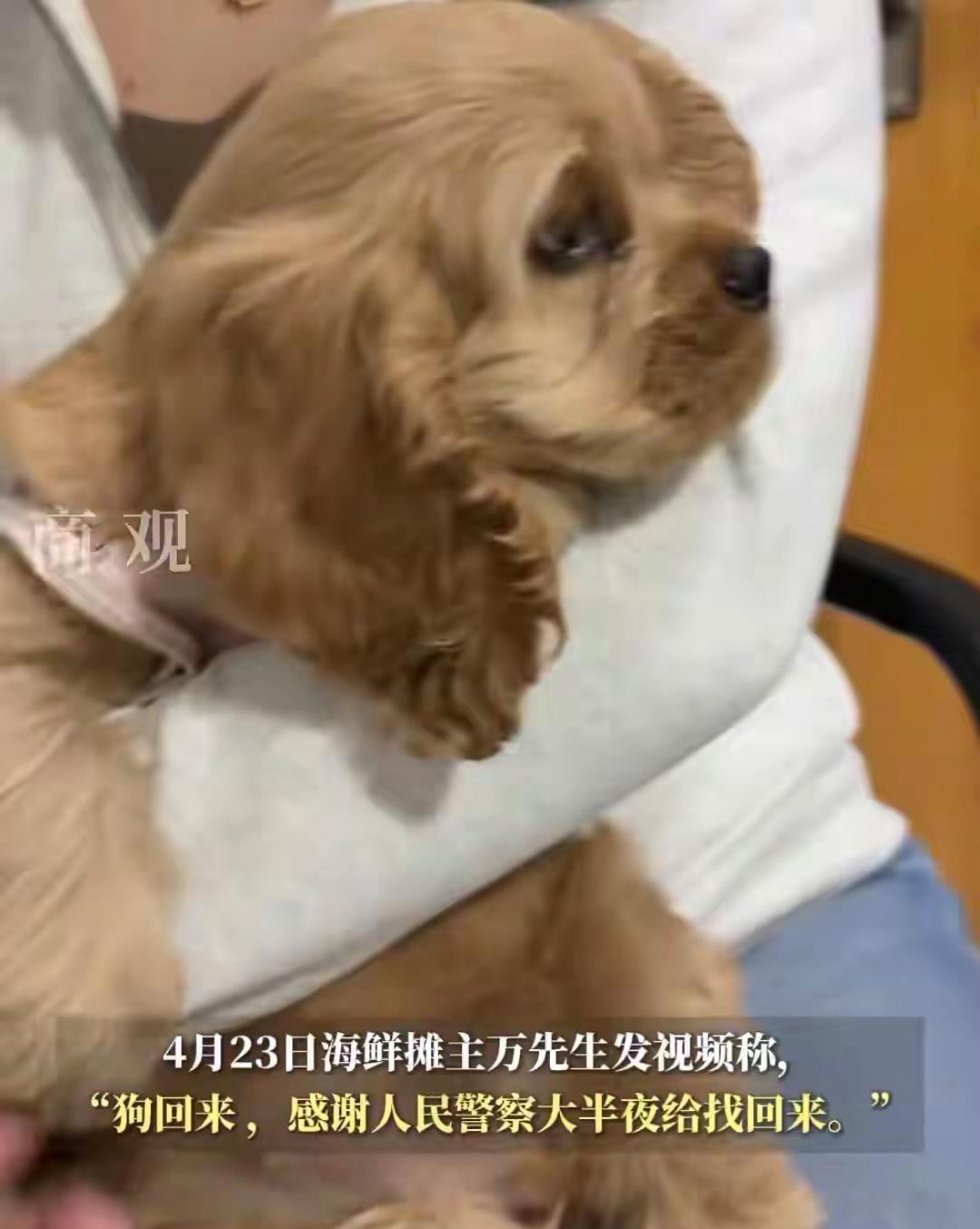 河北秦皇岛一女子在买海鲜时假装付款逃单，随后顺手牵羊偷走摊主价值12800元的美