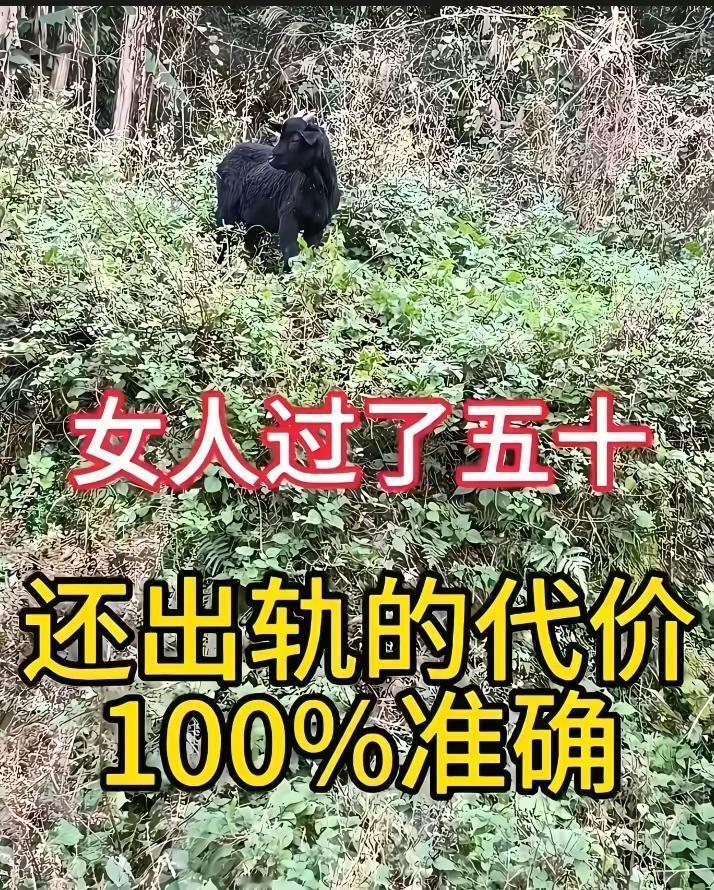 女人出轨男女情感男女那点事