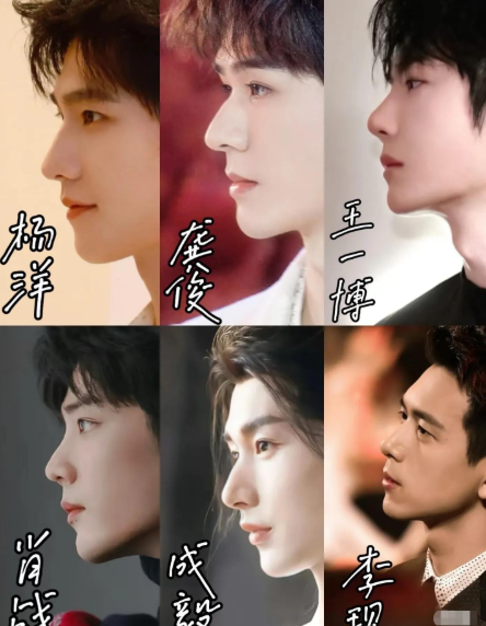 6位帅哥里，最完美的侧颜是杨洋，鼻子立体，眼神深邃，棱角分明，阳光俊朗，非常有魅