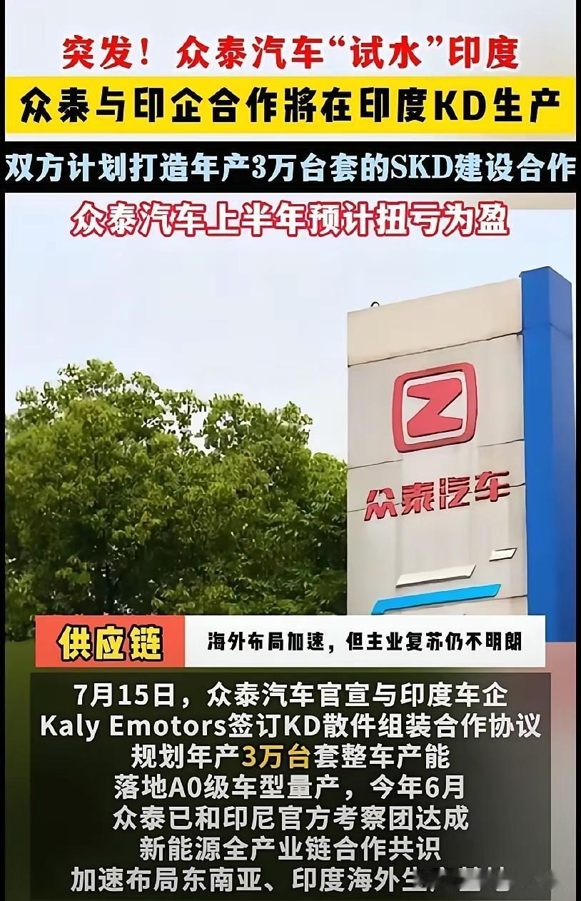 众泰：反正我已经死过一次，大不了再栽一回，索性试着空手套一波市场红利。先别嘲笑