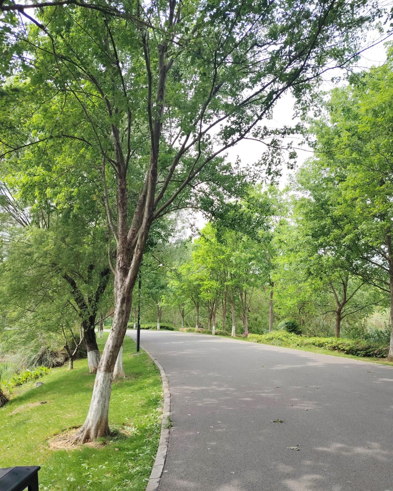 每次只跑个三五公里，达不到锻炼的效果，这你认同么。很多跑友认为每次只跑个三五公