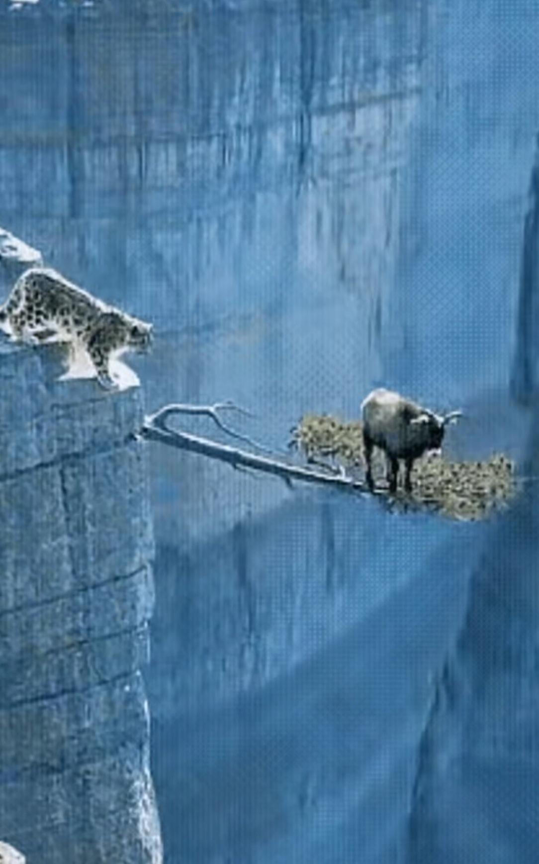 有时候，绝境就是最安全的地方！