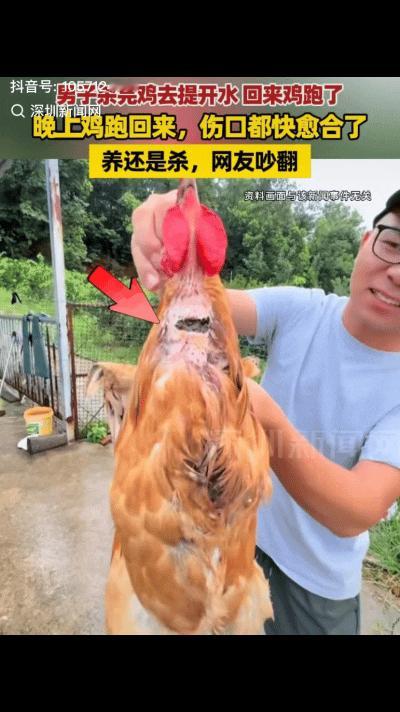 真是活久见！湖北荆州，一男子在家杀鸡，割了脖子放完血，眼看鸡不动弹了，就进屋烧水