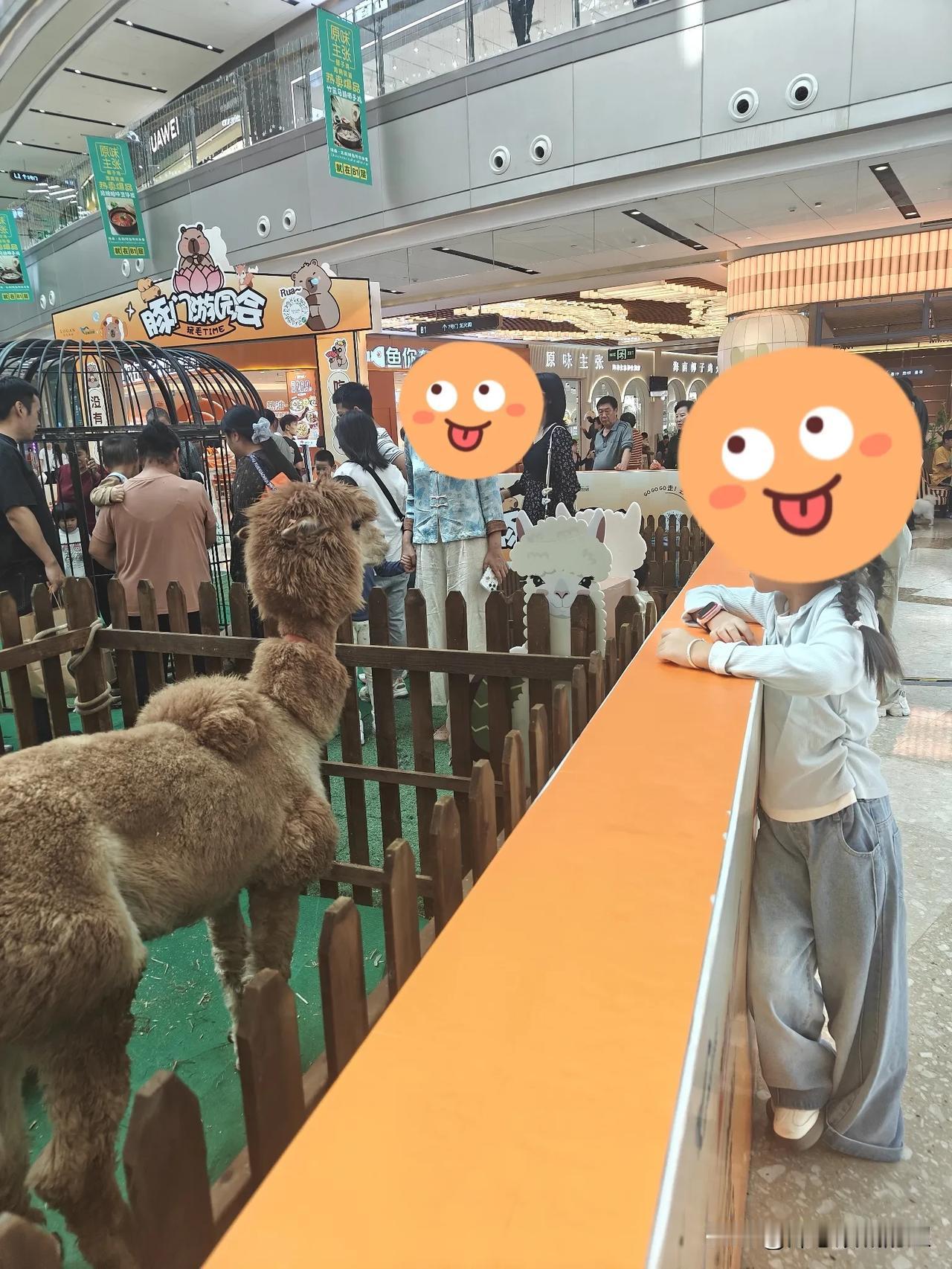 要是有老人一直帮忙带娃,还是会生。新邻居还是想生二胎,但是没有老人帮忙带,没办