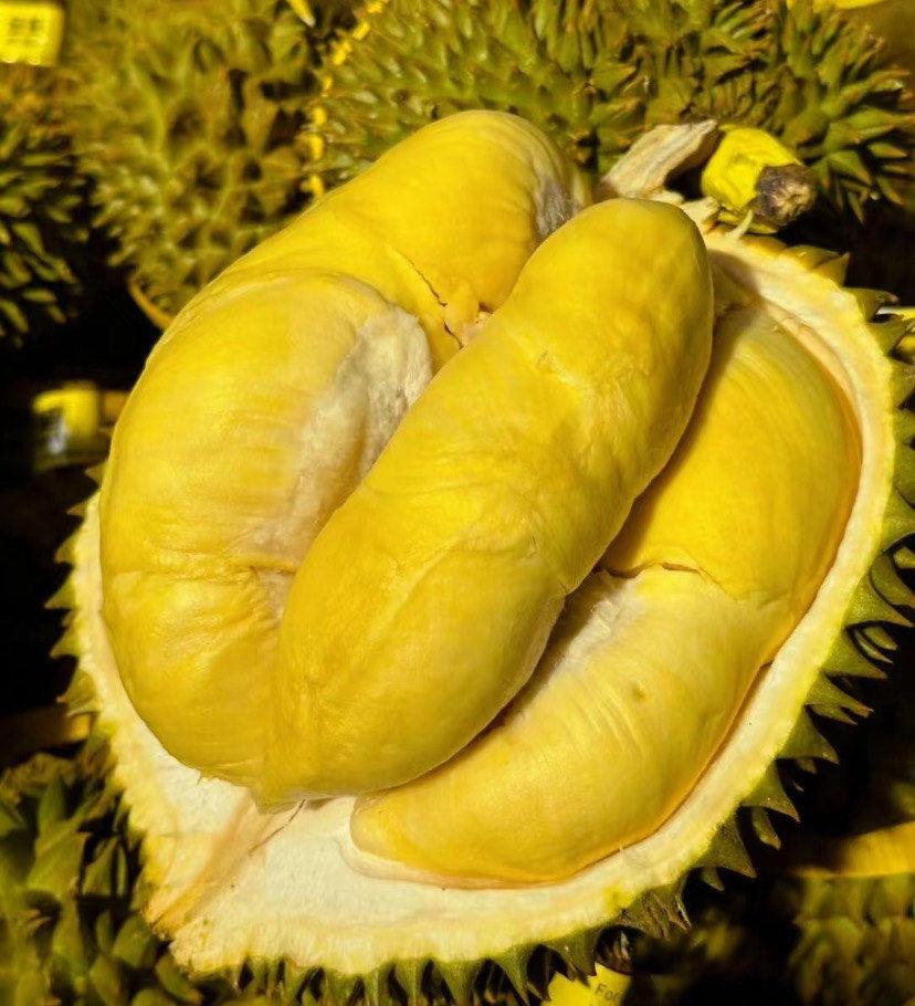 海南封关，榴莲成了笑话！一位上海网友惊叹:海南人犯傻吗？金枕榴莲在上海23元一斤