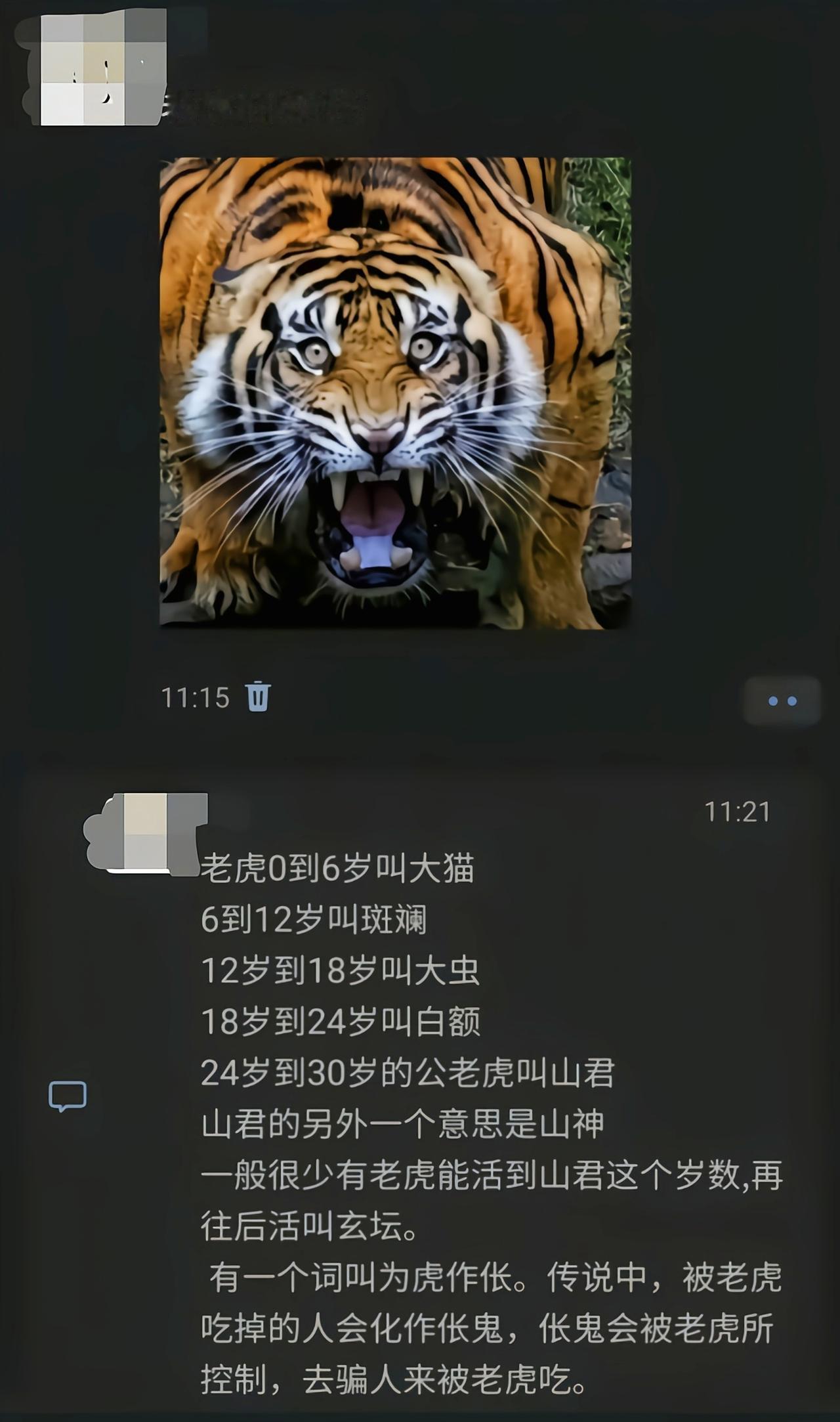 老虎这至阳之体，你问问鬼敢靠近老虎嘛[吃瓜]
