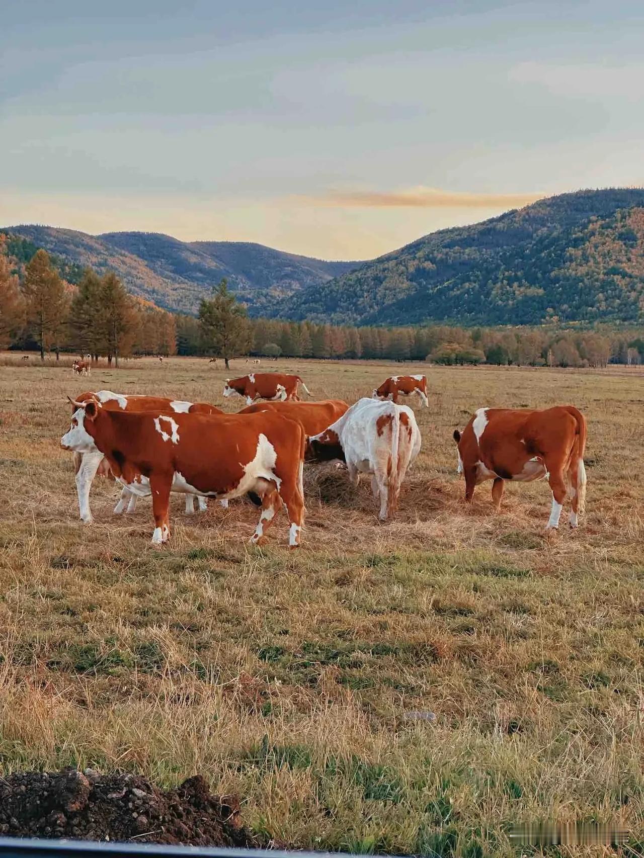 蘑阿公路好喜欢这条路线