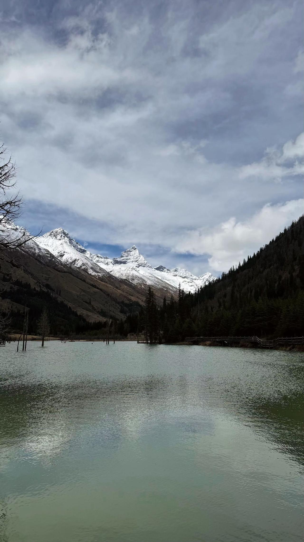 中国大学排名大学2026软科中国大学排名（主榜）的上榜高校共有590所，清华