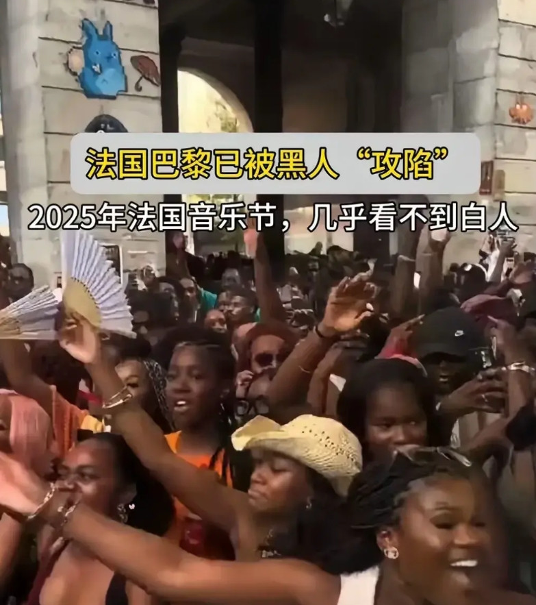 法国音乐节，成了黑人的狂欢，几乎看不到白人的身影。黑人在法国的比例逐年增长，