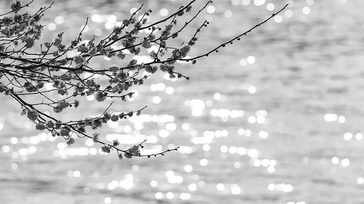 走过大寒, 便是春天