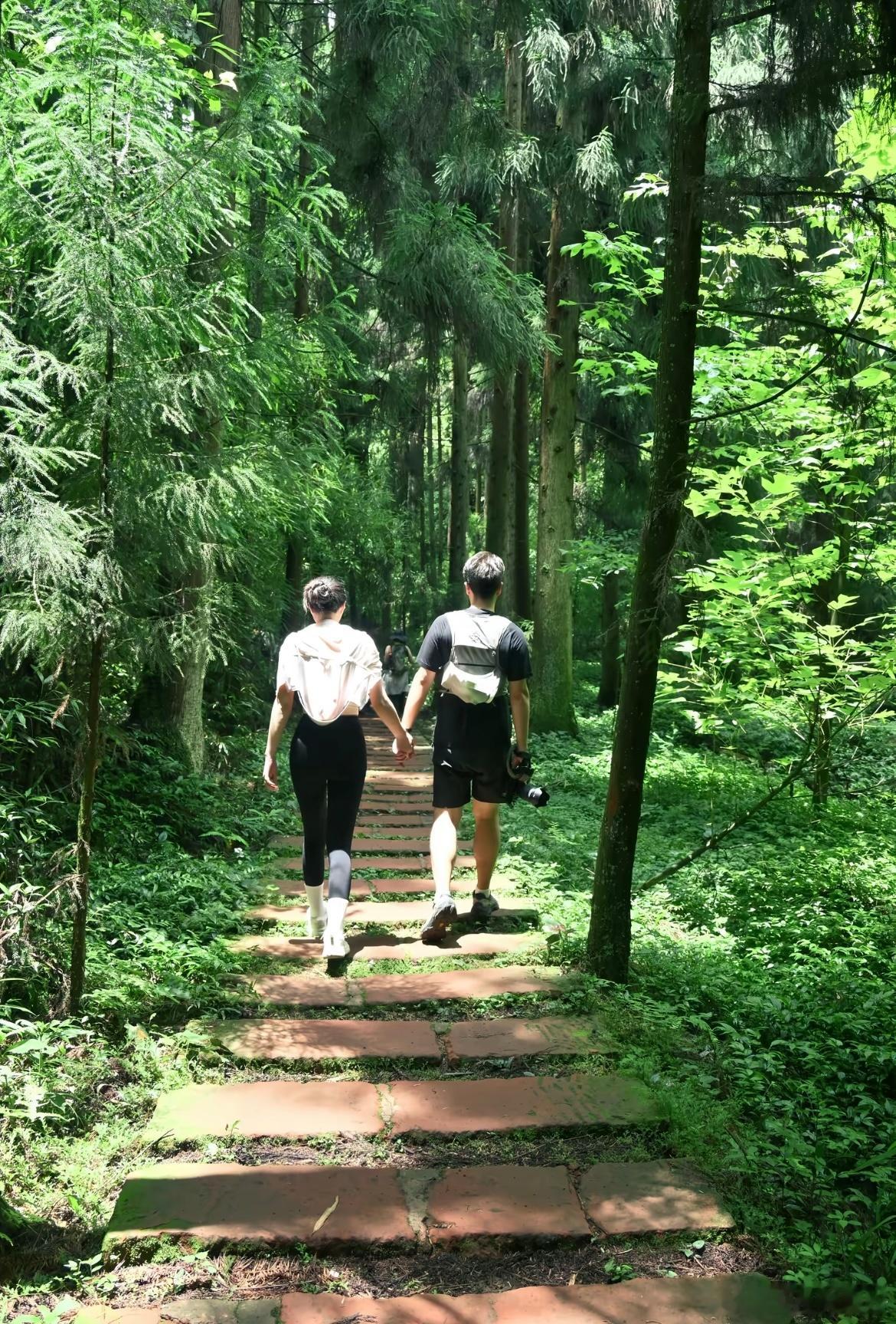 一起徒步一起爬山一起遇见美好​​​