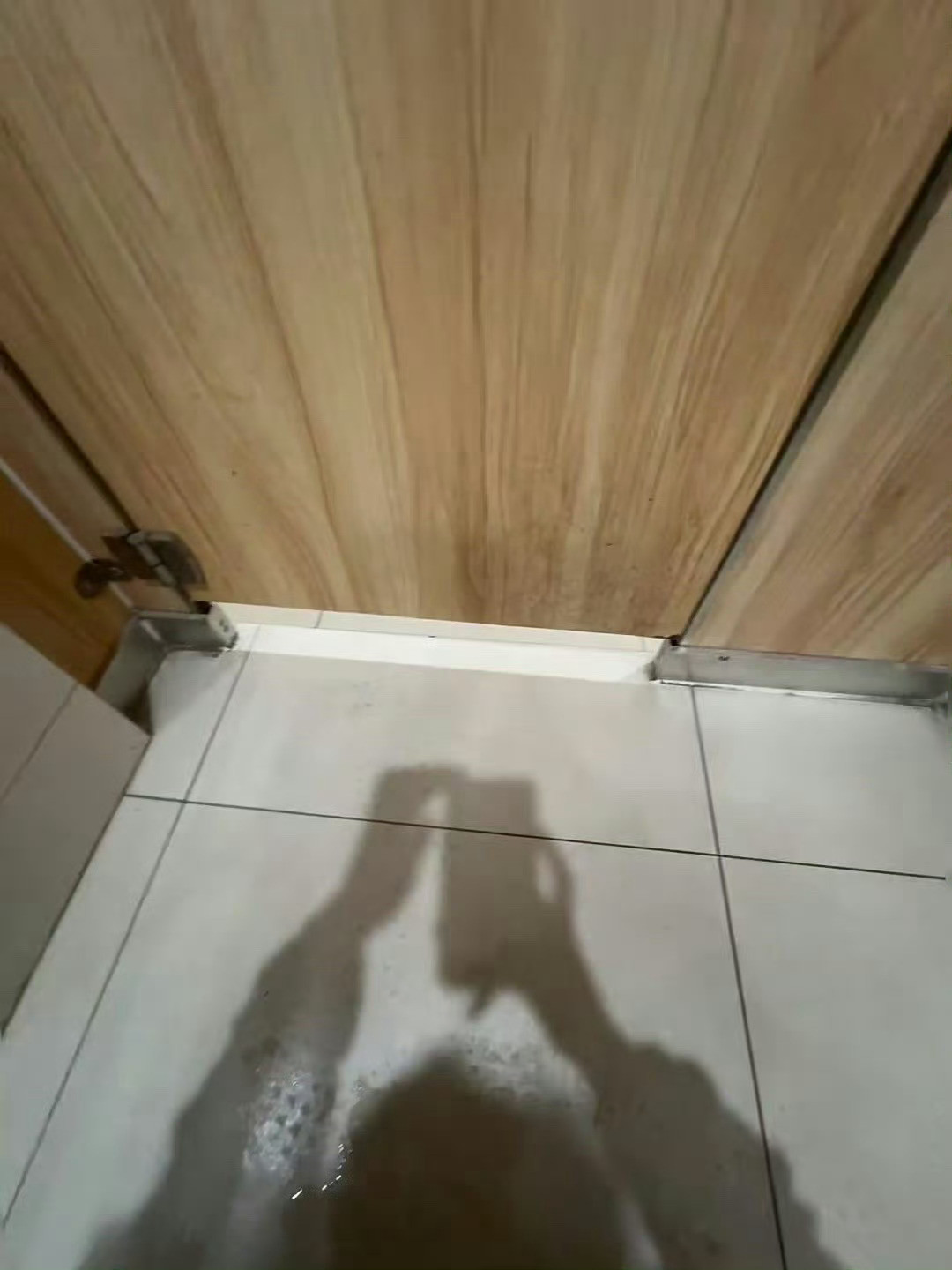 阴暗潮湿的环境往往是孕育生命的摇篮​​​​​​
