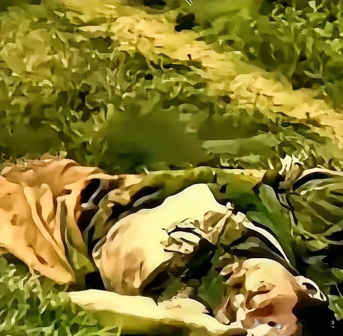 红烧肉炖糊了，他妈也没舍得关火。锅里的肉早就黑了，她就那么坐着，盯着手机。那