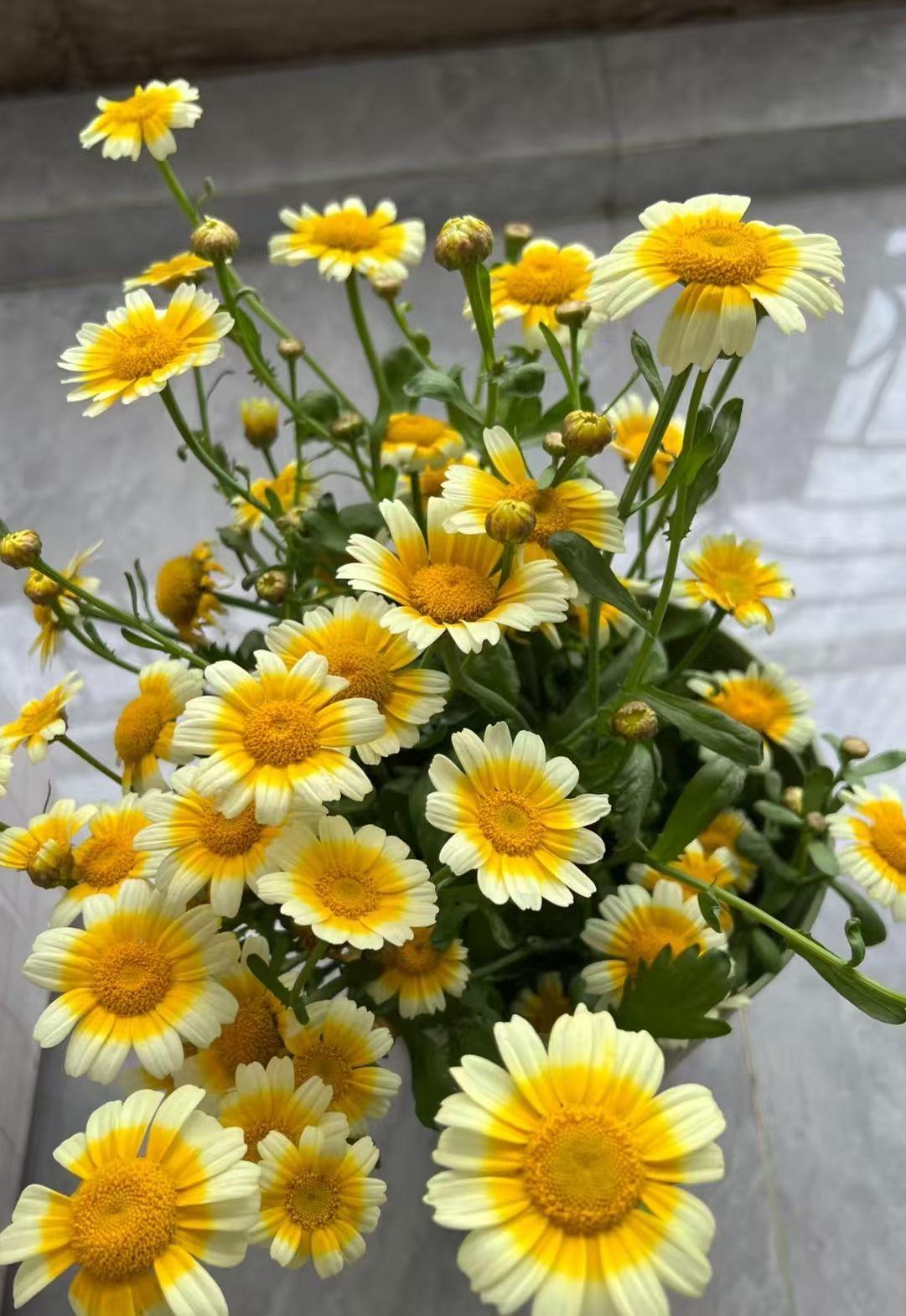 在超市碰到妹妹的婆婆，问起妹妹最近怎么样。老太太眼神躲闪，支吾了半天才说漏嘴。