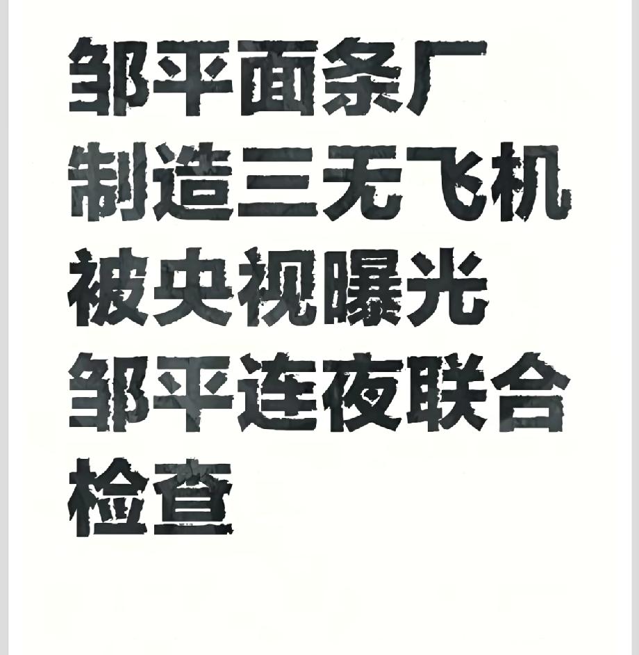 果然还得是山东牛啊！生产面条的厂子，竟然生产“三无飞机”，不愧为全产业链省份啊！