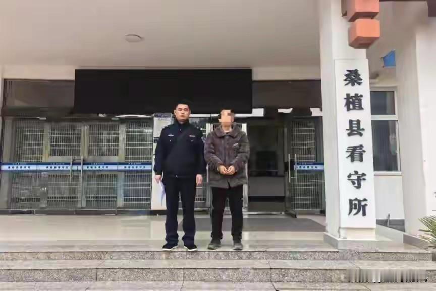 这年头，“自投罗网”都投出了新花样。湖南桑植这位陈某，用实际行动把“掩耳盗铃”的