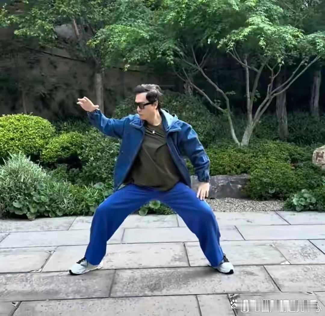 61岁甄子丹杭州晨练，一组太极拳行云流水，身体状态显年轻​​​