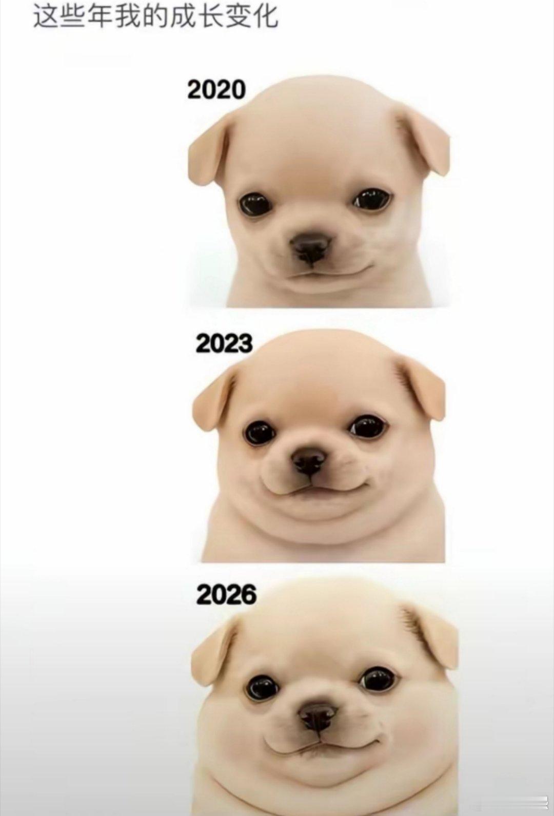 挣的那点钱，全炫嘴里了